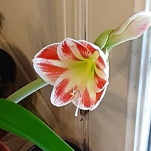 Meet your Posher, Gretchen